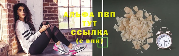 стафф Надым