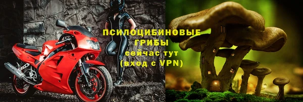 стафф Надым