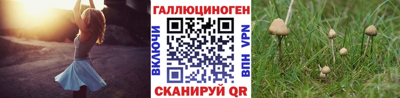 Псилоцибиновые грибы мицелий купить наркоту mega ссылки Константиновск